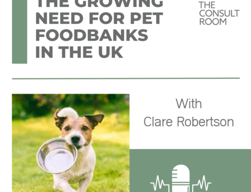Making Pet Food Banks Possible: Proactivity and Partnerships