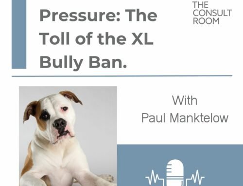 The Veterinary Crucible: Navigating the XL Bully Ban