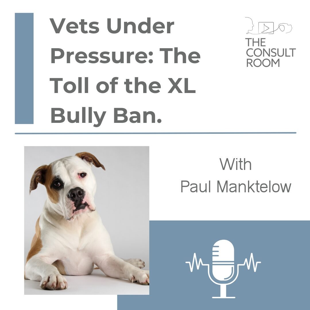 The Veterinary Crucible: Navigating the XL Bully Ban