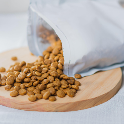 pragmatic vet care blog 3