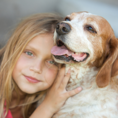 pragmatic vet care blog 3