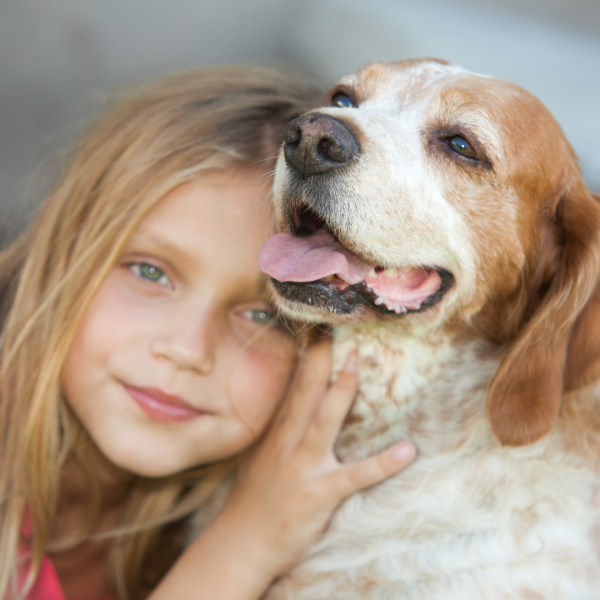 pragmatic vet care blog 3