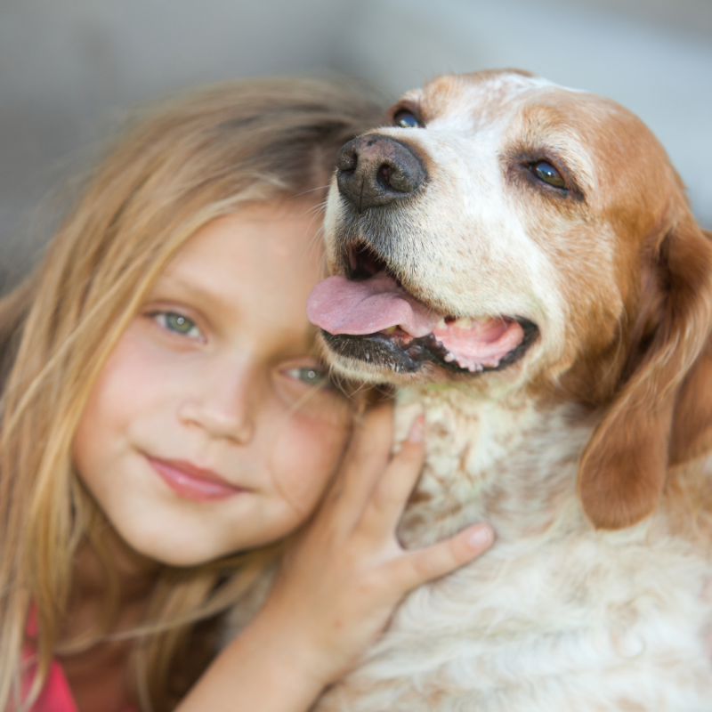 pragmatic vet care blog 3