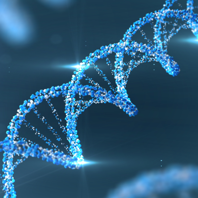 Pet Cloning website blog 1