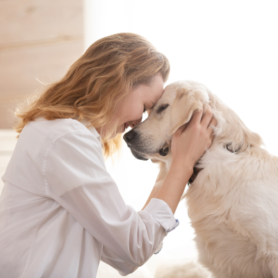 Pet Cloning website blog 1