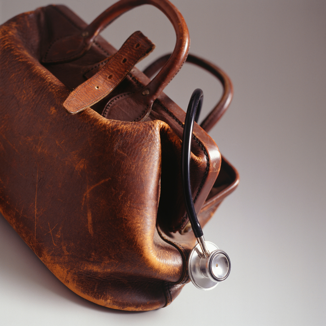 vet bag